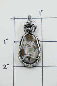 Coprolite Set in Sterling Silver Wire Wrap Pendant