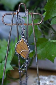 Yellow Petrified Wood Sterling Silver Wire Wrap Pendant